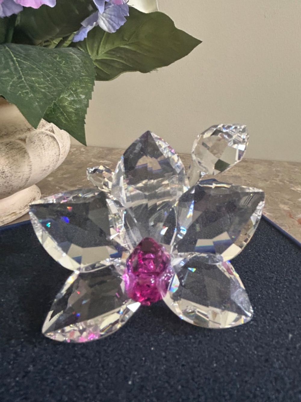 MINT!!  Swarovski's Orchid Blossom